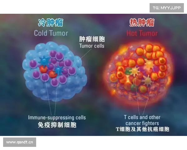 被辐射治疗癌症:新希望与疗效评估 被辐射治疗癌症:新希望与疗效评估