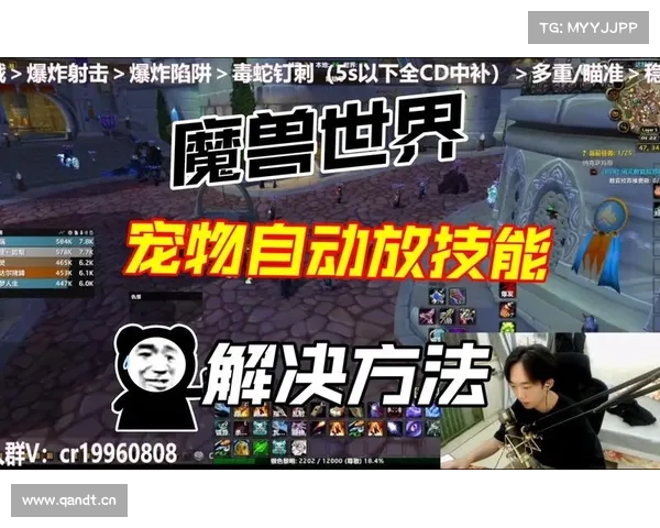 魔兽世界怀旧服:技能清除全攻略 魔兽世界怀旧服:技能清除全攻略